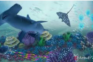 HB火博·体育官方正版手游电脑免费版